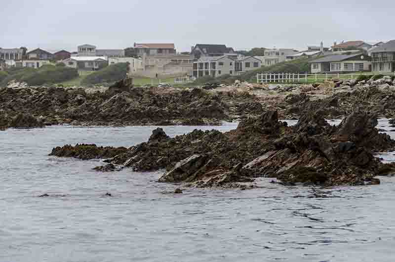 87 - Sudafrica - Gansbaai - costa